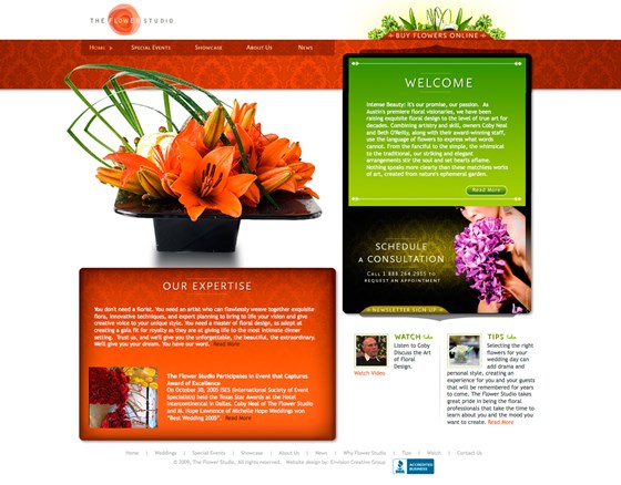 Website Design: Website Design & Development