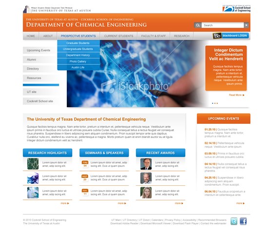 Website Design: Website Design & Development