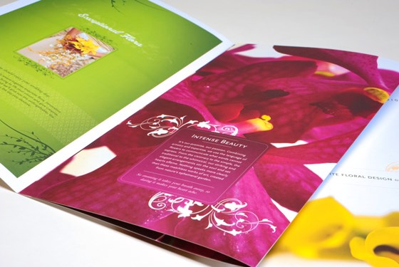 Brochure Design: Brochure Design