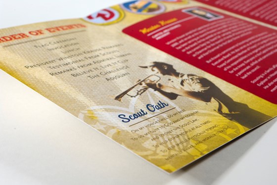Brochure Design: Brochure Design
