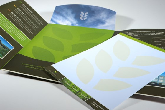 Brochure Design: Brochure Design