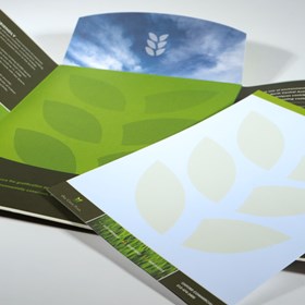 Brochure Design: Brochure Design